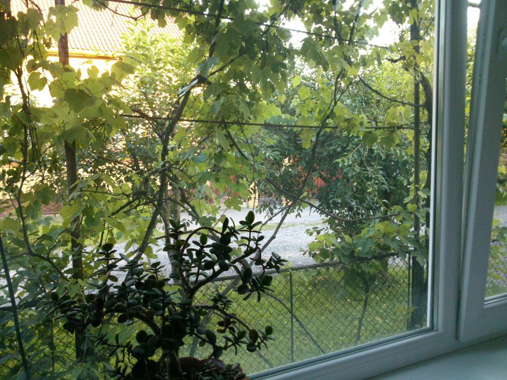 Villa Svalyavа Svalyava Exterior foto
